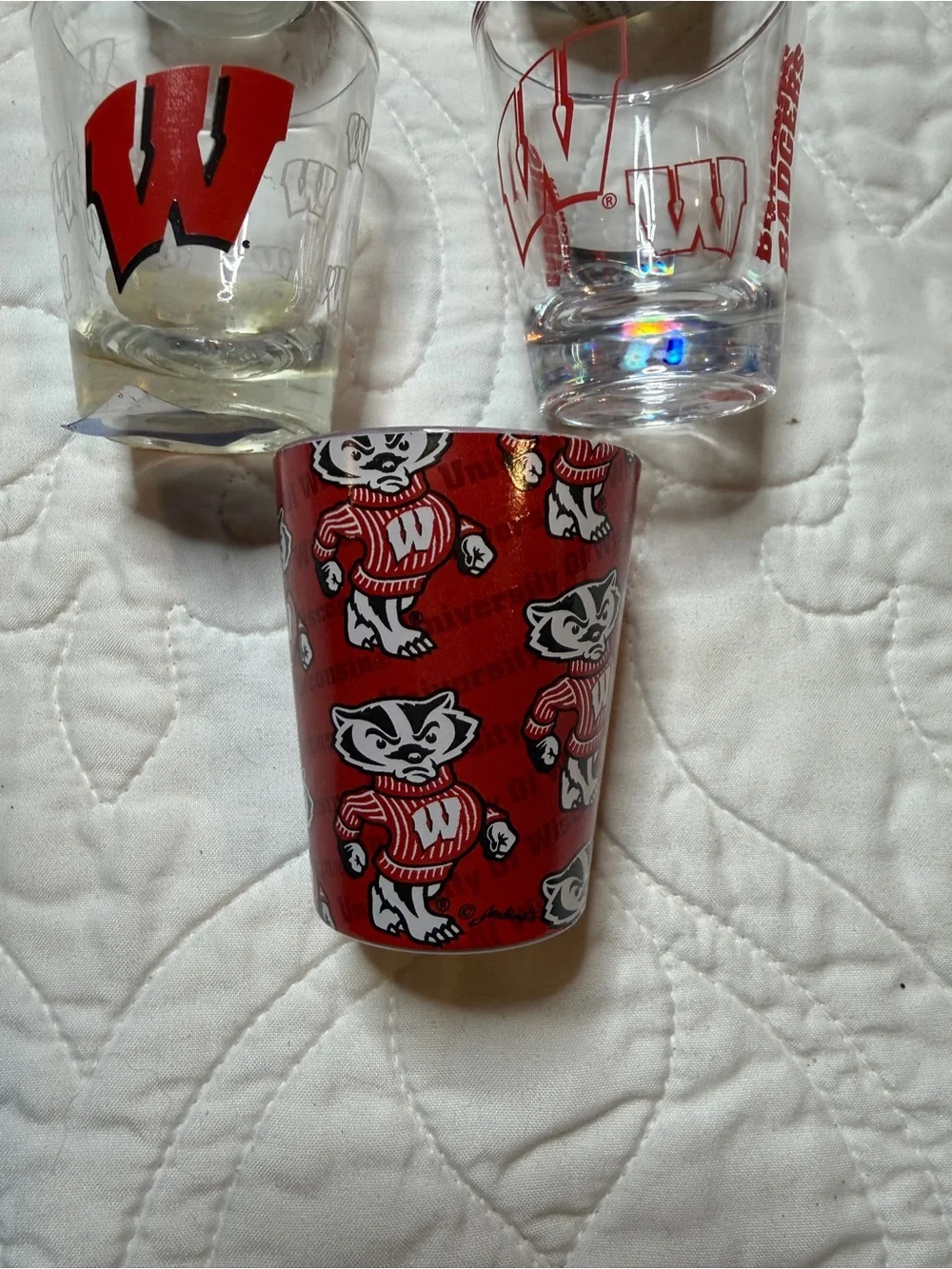 Wisconsin Badgers NCAA Shot Glass Lot Bucky Badger Set of 5